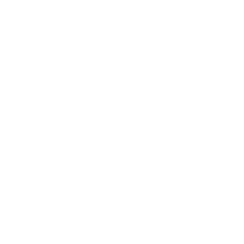 Interims-Projektmanagement